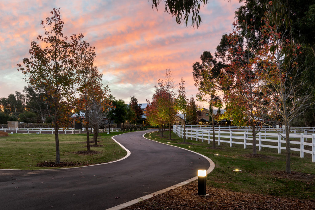 Mortlock Timber