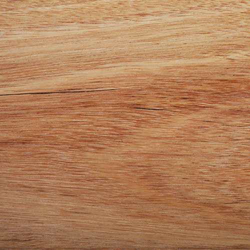 Blackbutt Clear Oiled