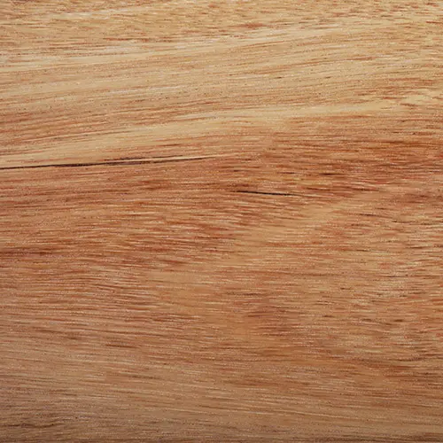 Close up photo of Blackbutt decking sample