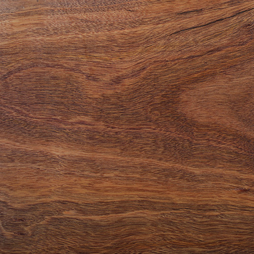 Spotted Gum Clear oiled