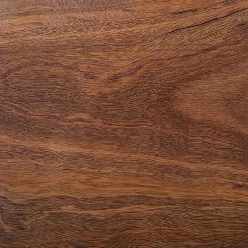 Close up photo of Spotted Gum decking sample