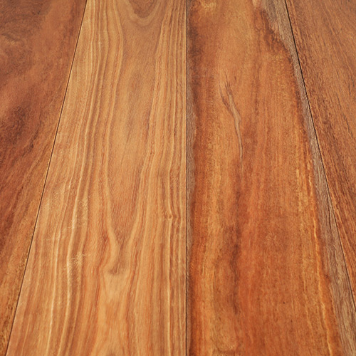 Spotted Gum Enviro Clear