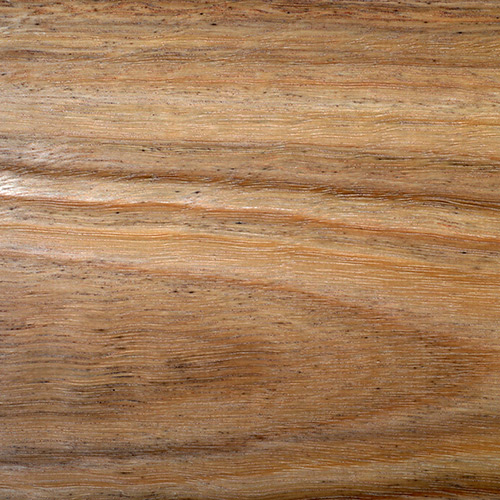 Spotted Gum Fireshield Timber clear
