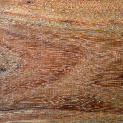 Spotted Gum Unfinished