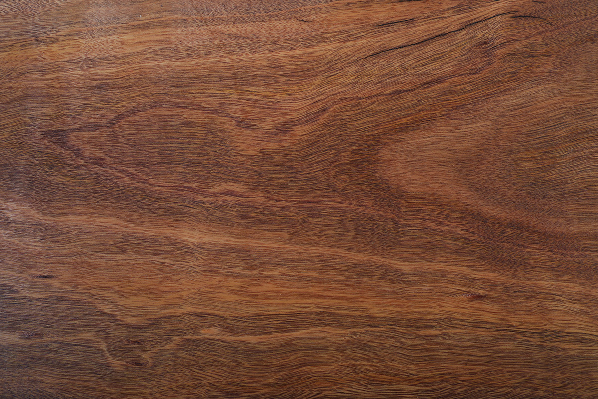 Spotted Gum Clear Oiled