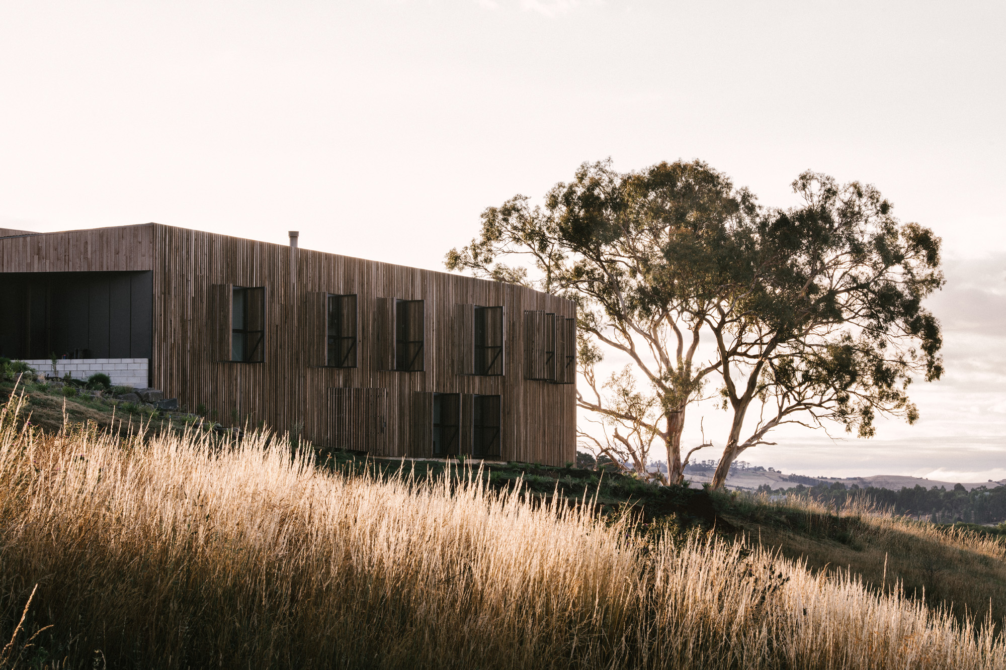 timber facade screens