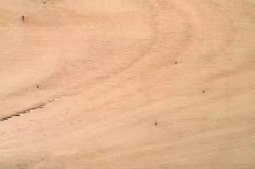 Blackbutt Timber Unfinished