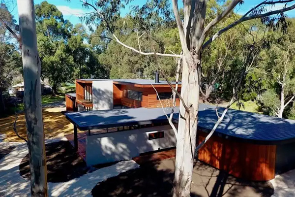 Mortlock Timber