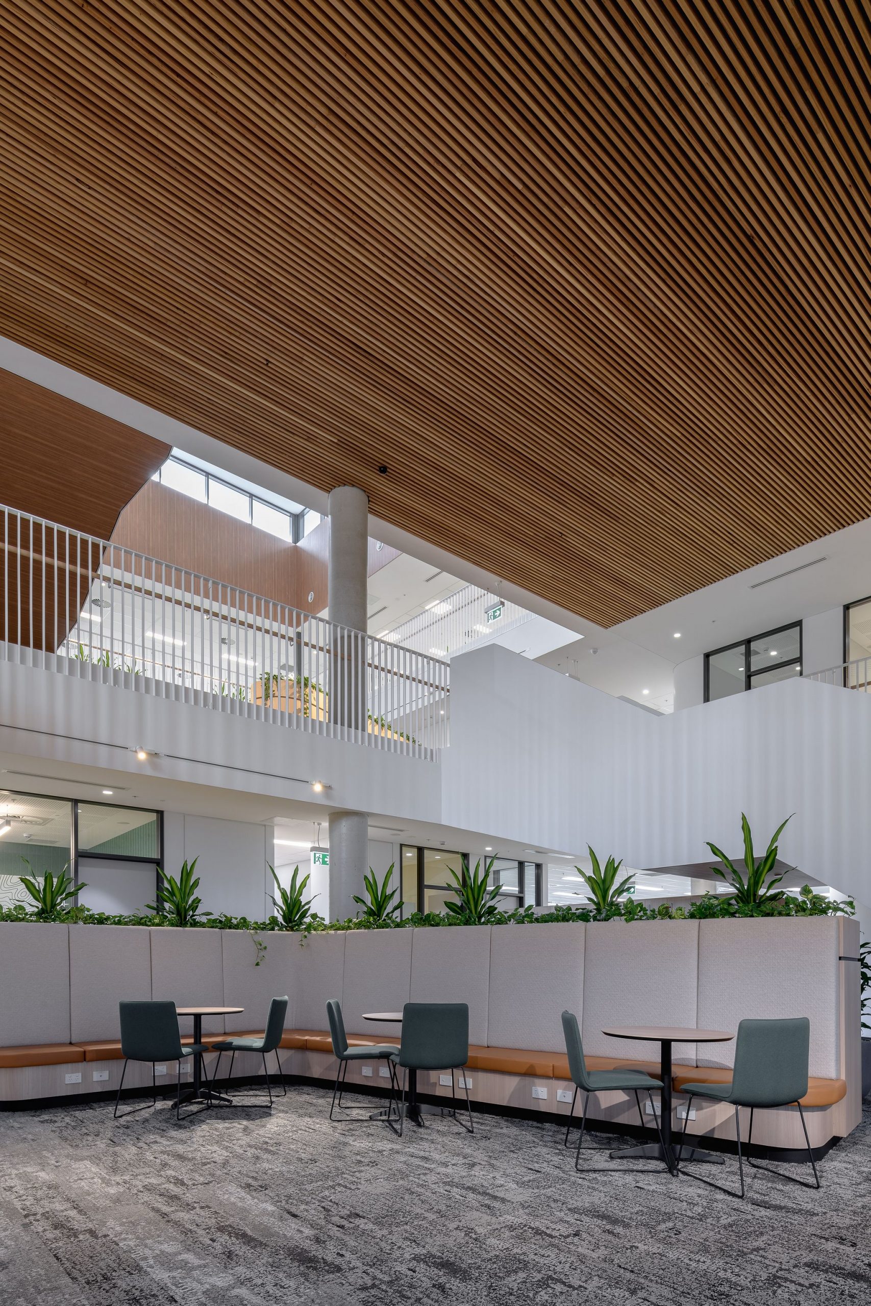 Mortlock Timber