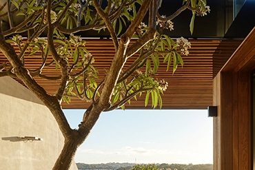 Mortlock Timber