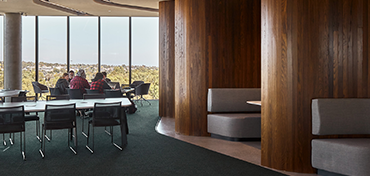 Satinplank Timber Lining