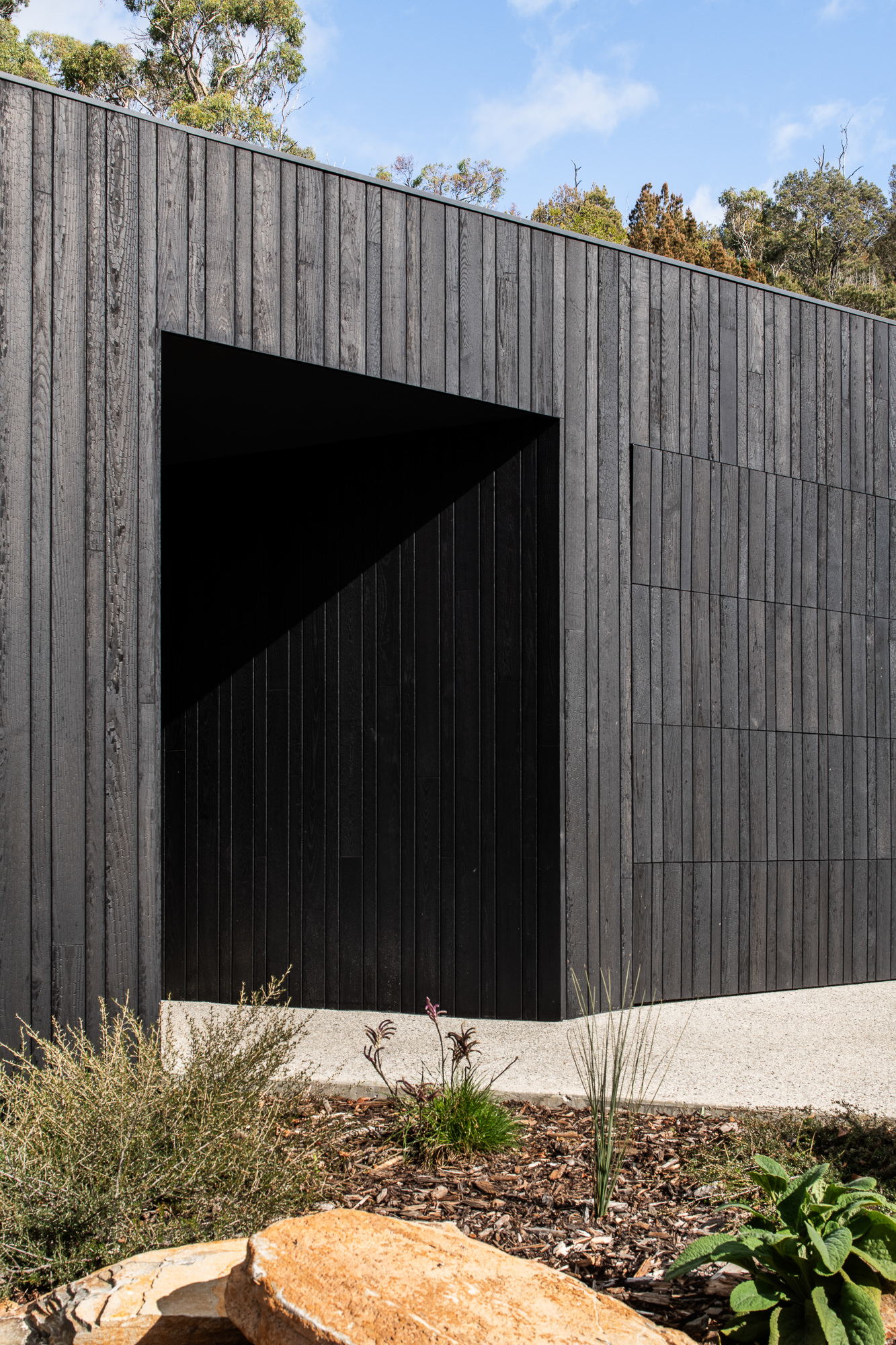 Innovative Timber