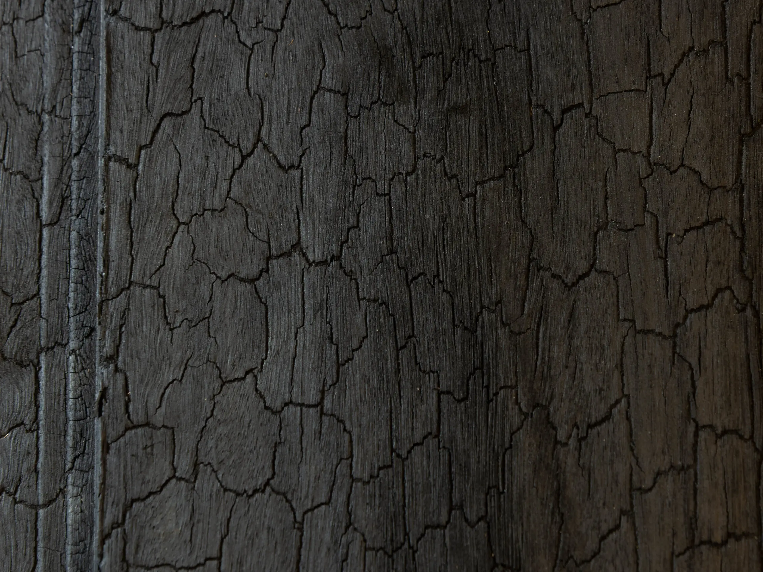 Irongum Finsh Like Shou Sugi Ban