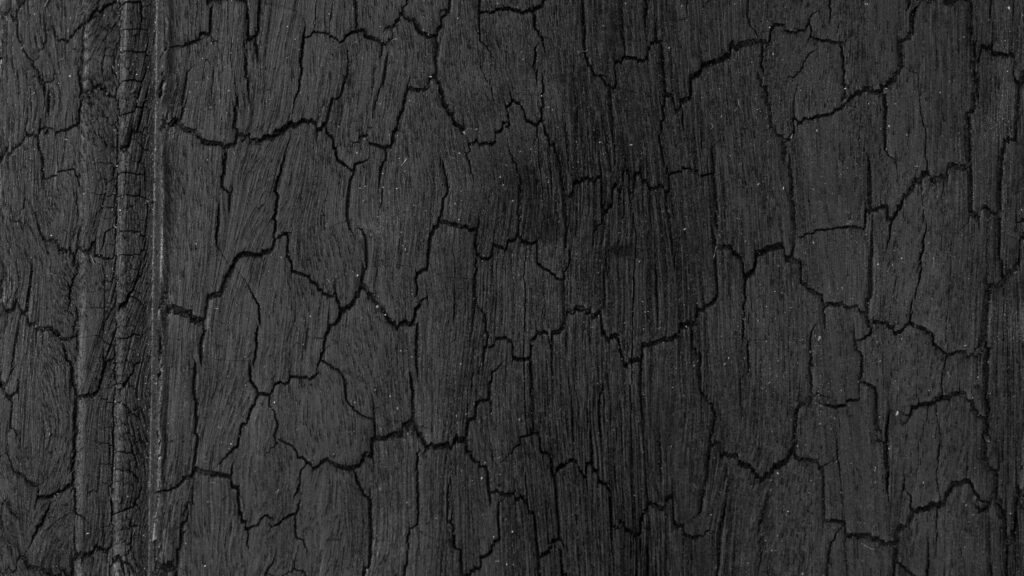 The Ultimate Guide to Shou Sugi Ban Charred Timber