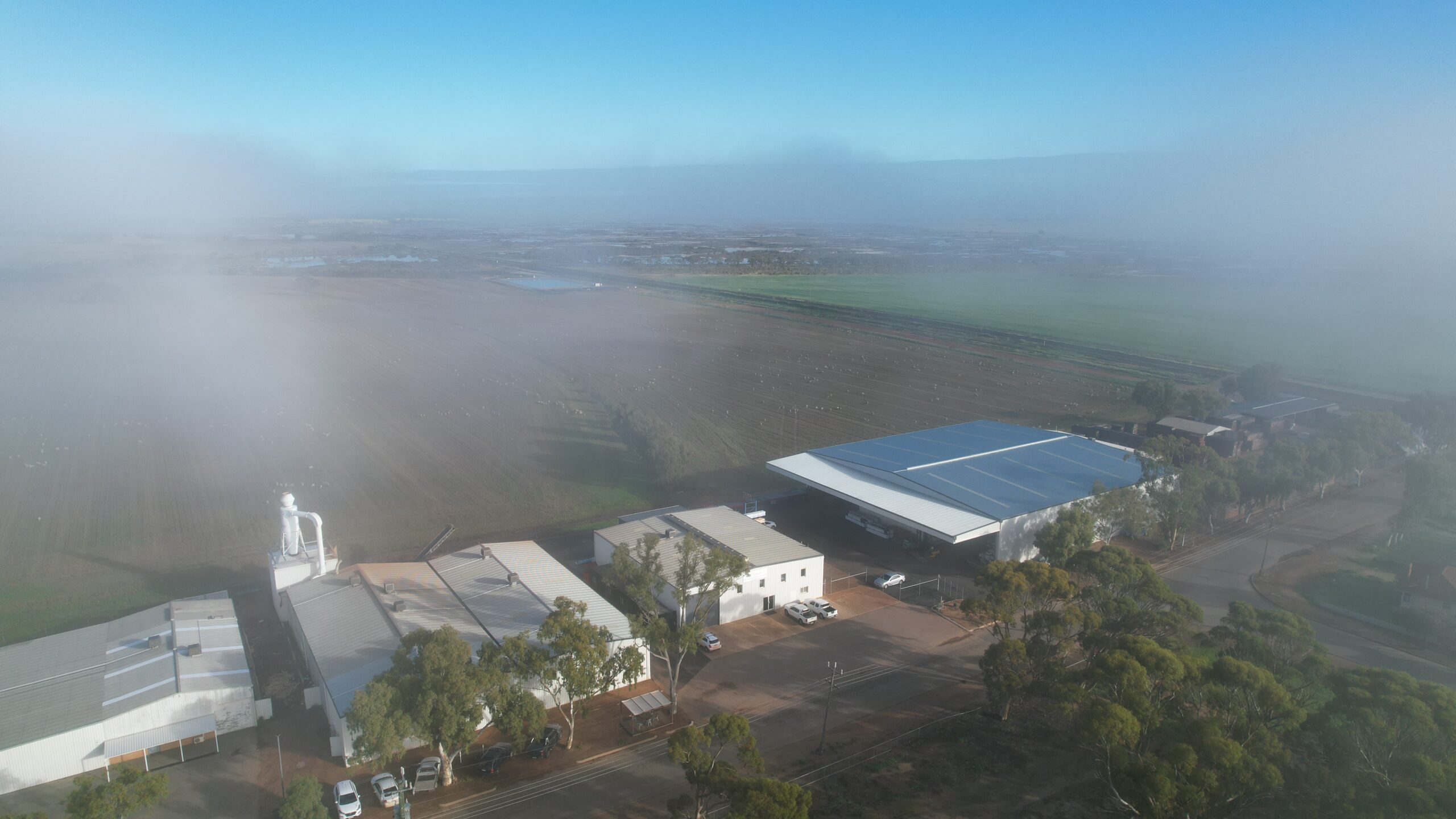 Mortlock Timber