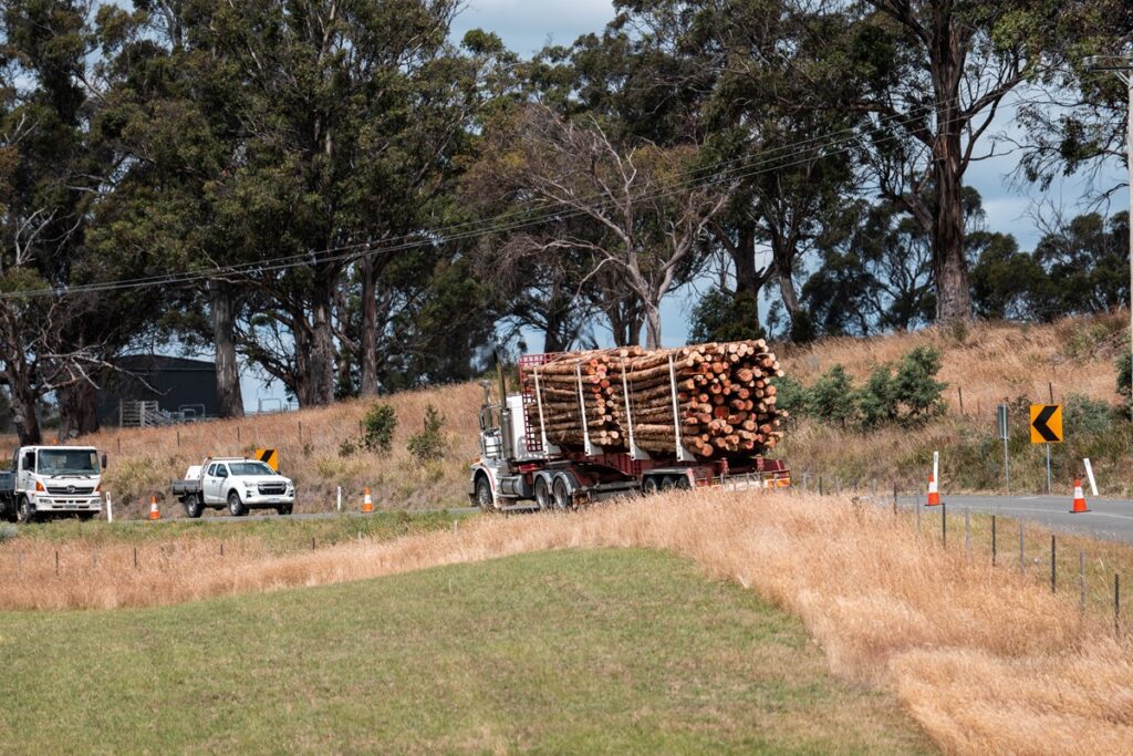 A truck transporting a large load of harvested timber logs along a dry, rural Australian road.